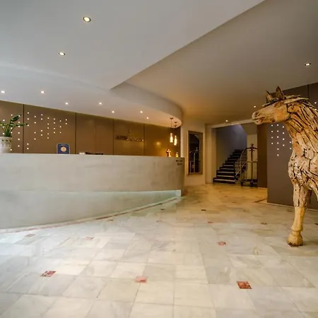 Hotel Lingos Florina