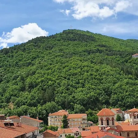 Hotel Lingos Florina